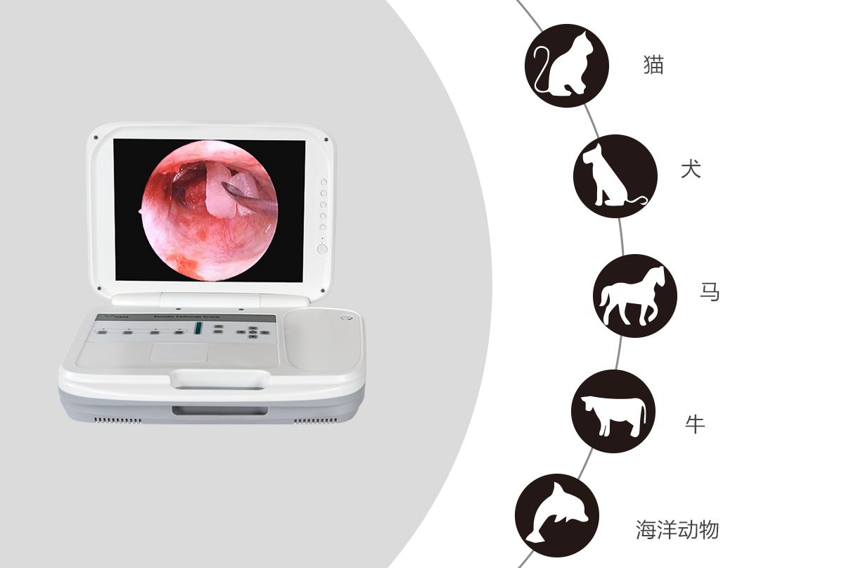 內(nèi)窺鏡攝像機(jī)的應(yīng)用領(lǐng)域有哪些？